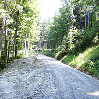 GT Erdbau Forstraßenbau